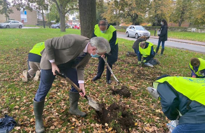 James Cartlidge MP crocus planting 