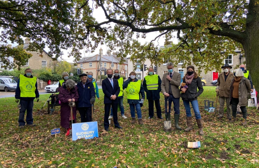 James Cartlidge MP crocus planting 