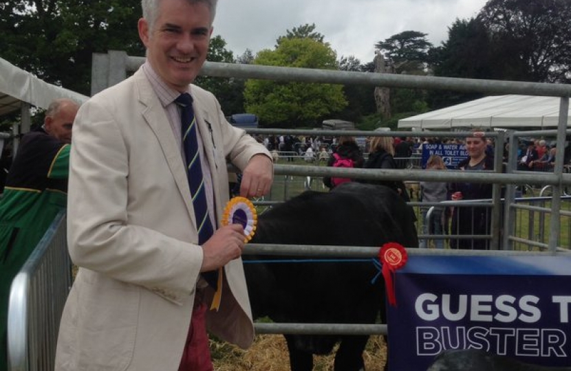 James Cartlidge MP Bull