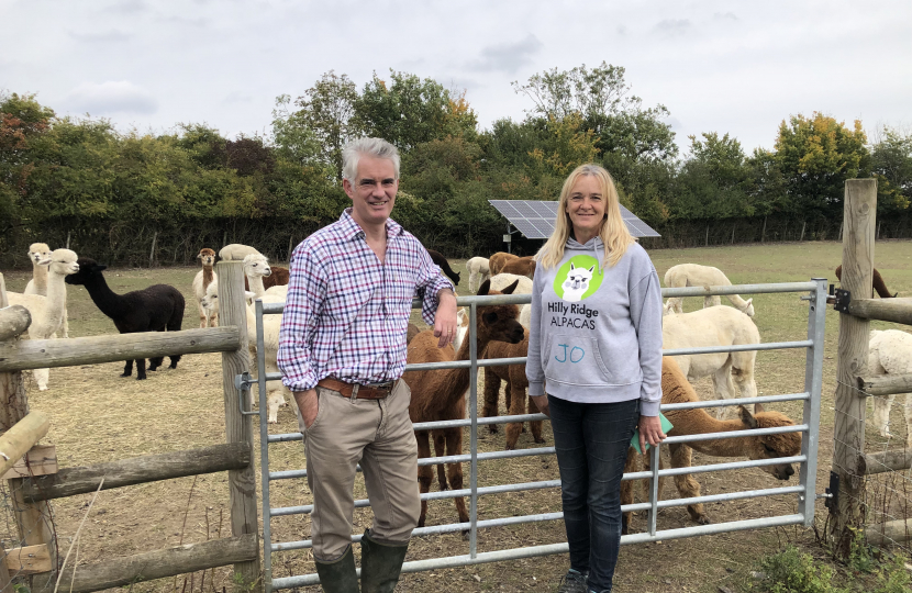 James Cartlidge Alpacas